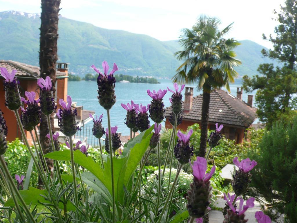 Casa Eva Διαμέρισμα Ronco sopra Ascona Εξωτερικό φωτογραφία